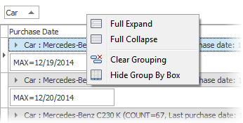 DevExpress VCL Grid Control - Group By Box Context Menu