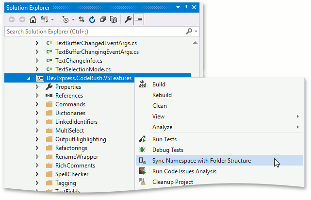 Sync Namespace With Folder Structure - CodeRush, DevExpress