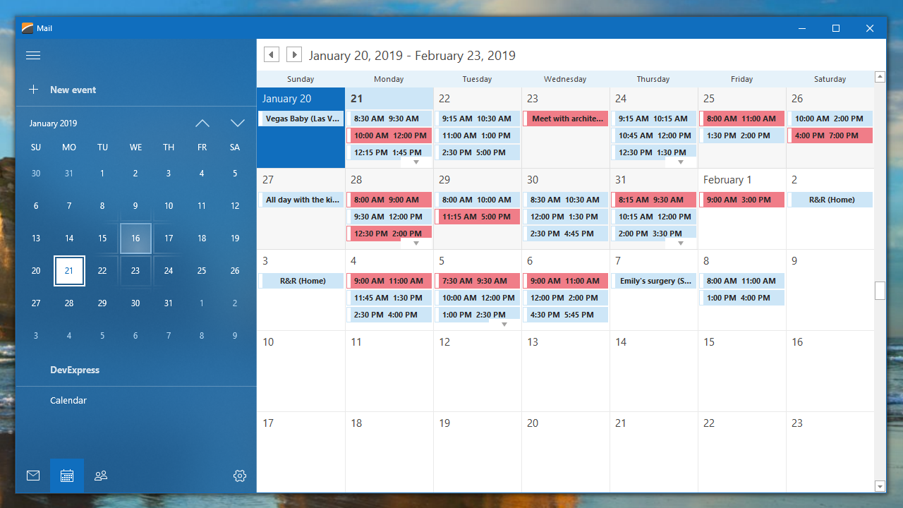 WinForms Data Editors Input Controls DevExpress