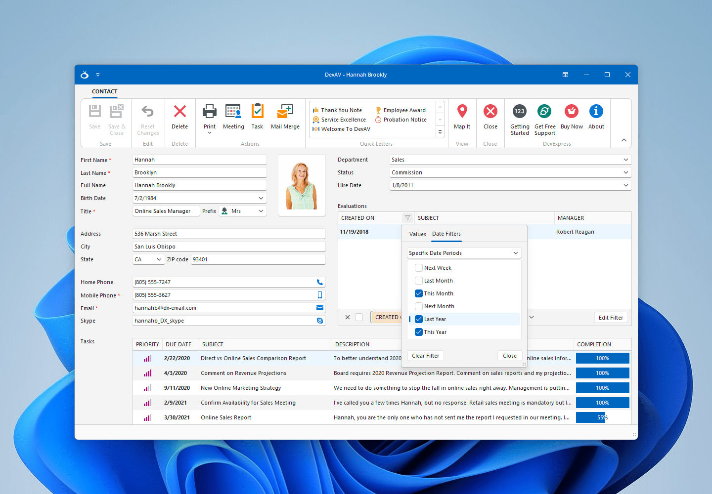 WinForms Skin Editor, WinForms Skin Editor