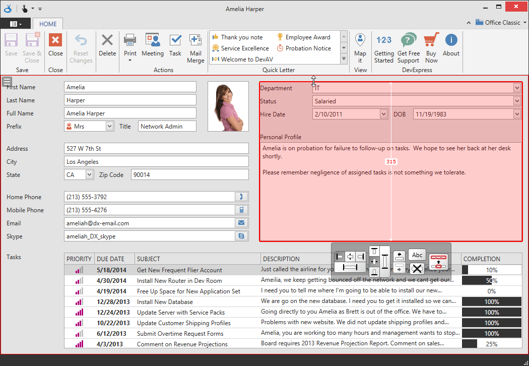 layout control devexpress