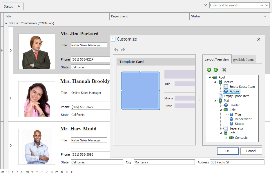 VCL Grid Control - Custom Row Layouts | DevExpress