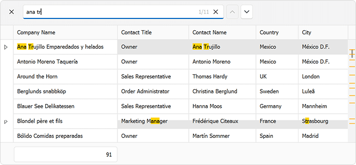 Find Panel - WinForms Data Grid, DevExpress