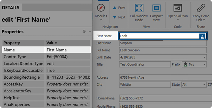 Obtain Accessible Names - WinForms Data Editors, DevExpress