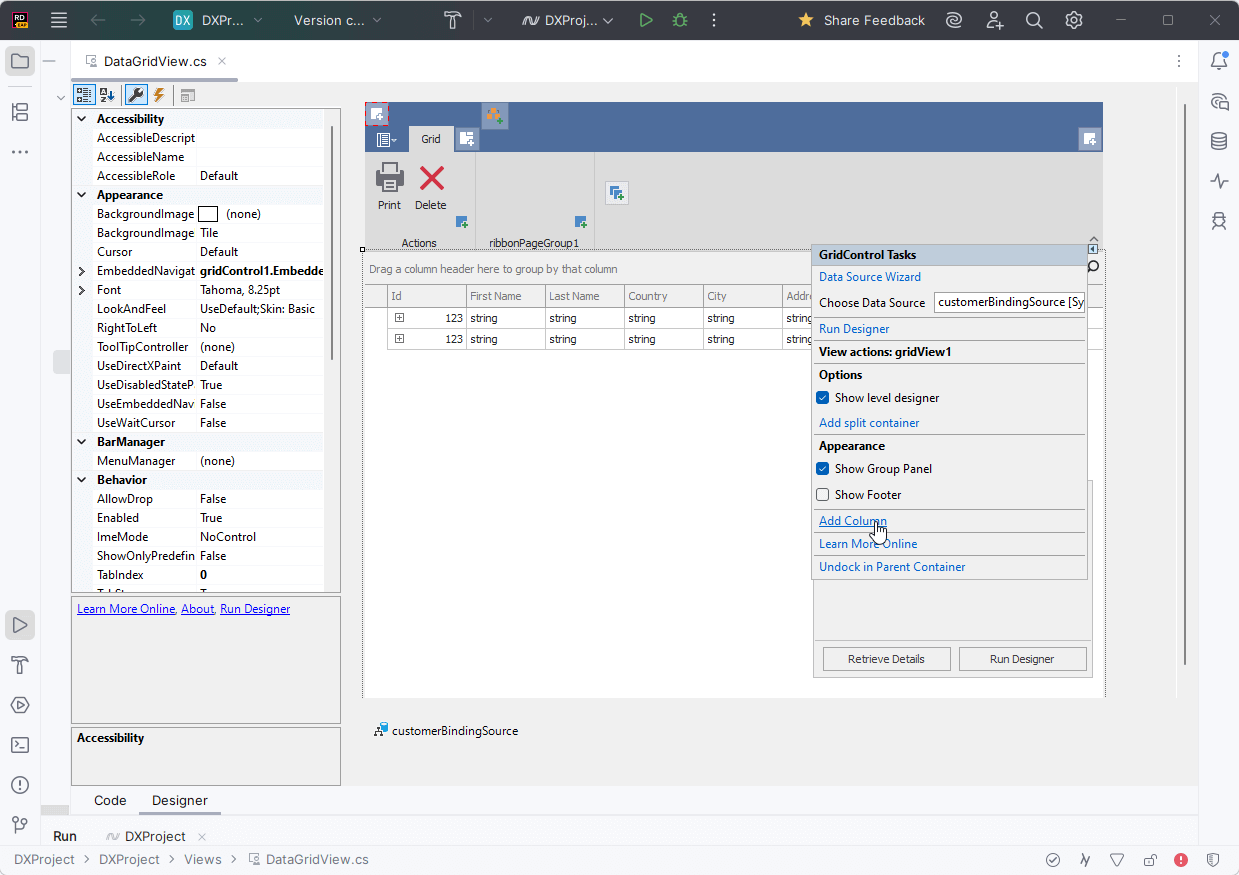 DevExpress Rider Support
