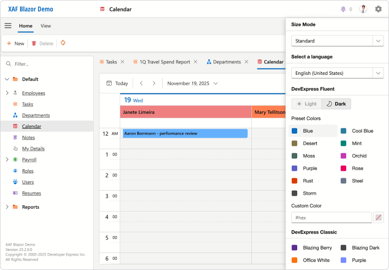 XAF ASP.NET Core Blazor Theme Chooser, DevExpress